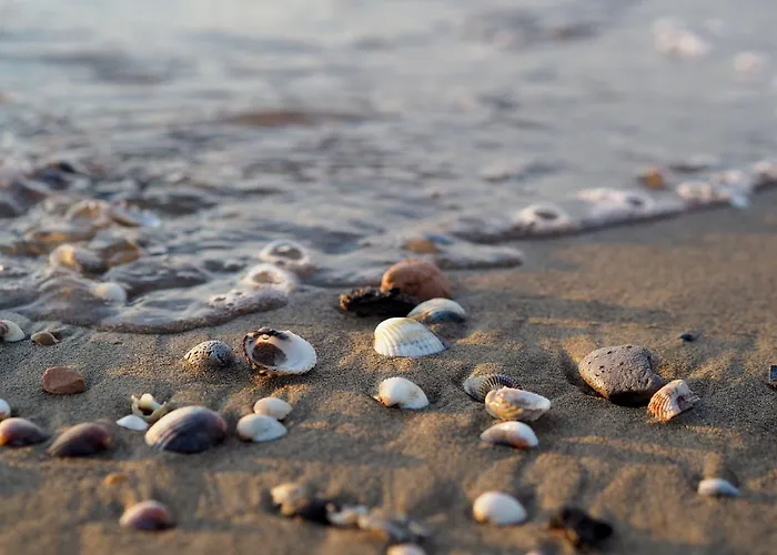 Charming Flat With A Big Terrace Appartamento